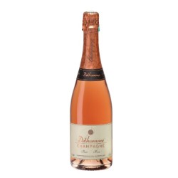 AOP Champagne - Brut Rosé