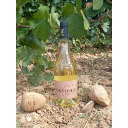 Costières-de-Nîmes