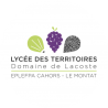 Domaine de Lacoste