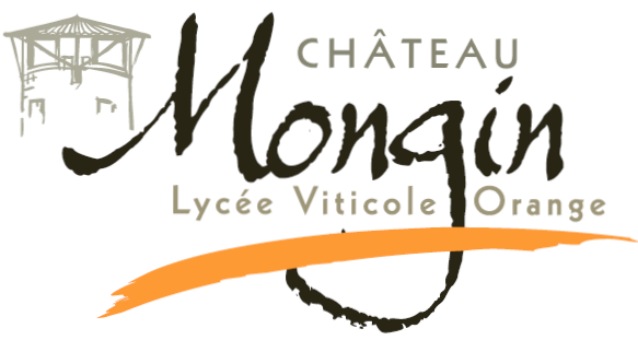 Château Mongin